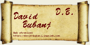David Bubanj vizit kartica